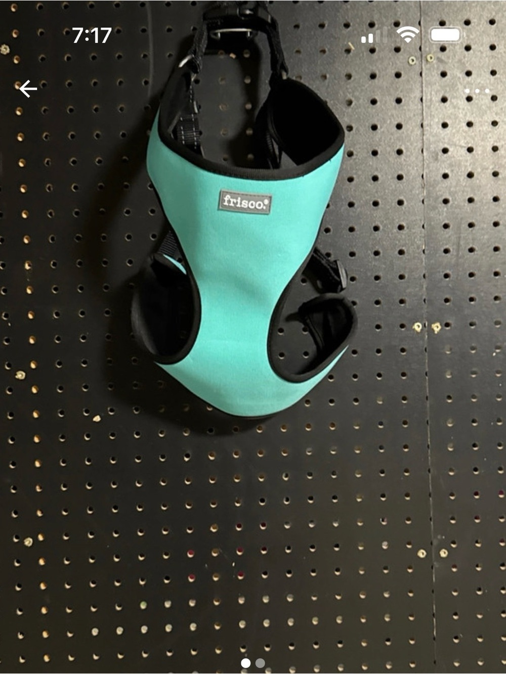 Frisco Teal Soft Dog Harness - Comfortable Support